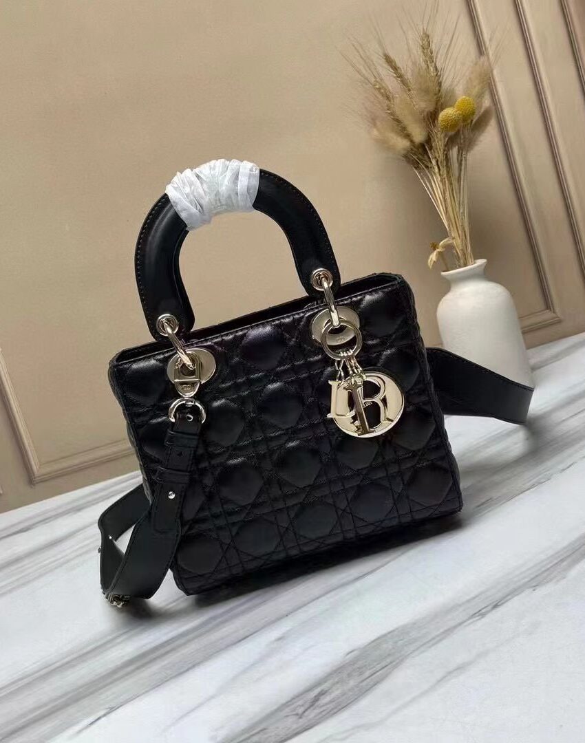Dior Ladybag
