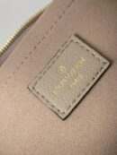 LV bag