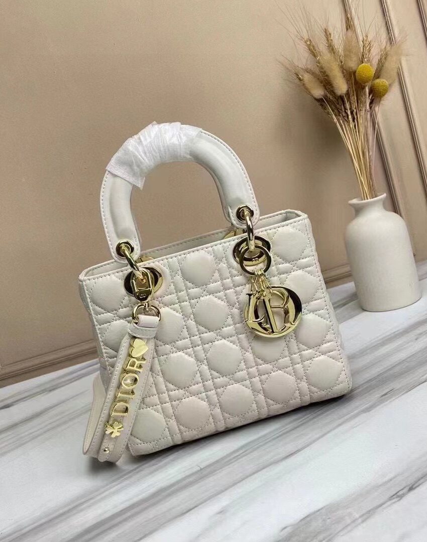 DIOR LADYBAG