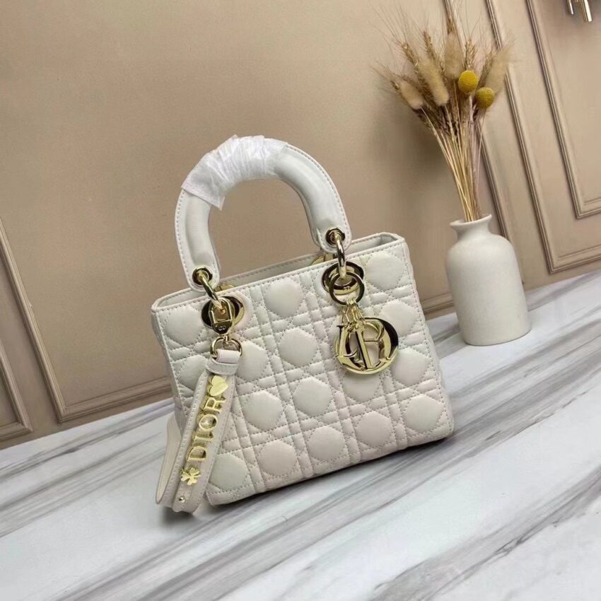 DIOR LADYBAG