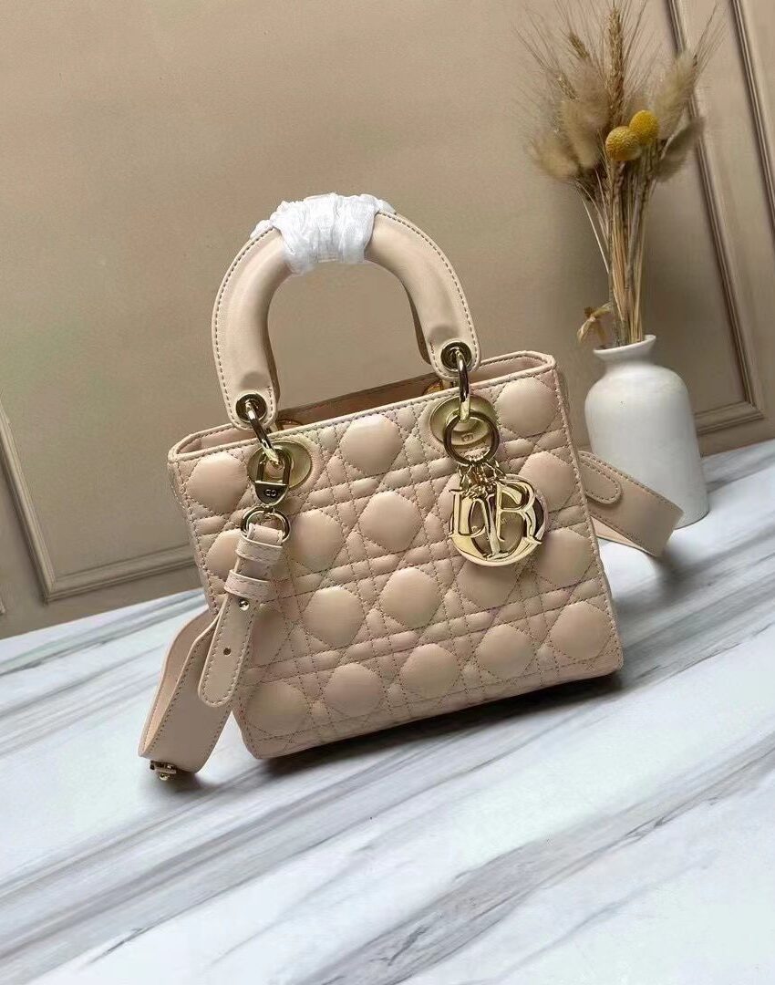 DIOR LADYBAG