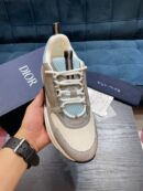 Dior b22 bleu grey