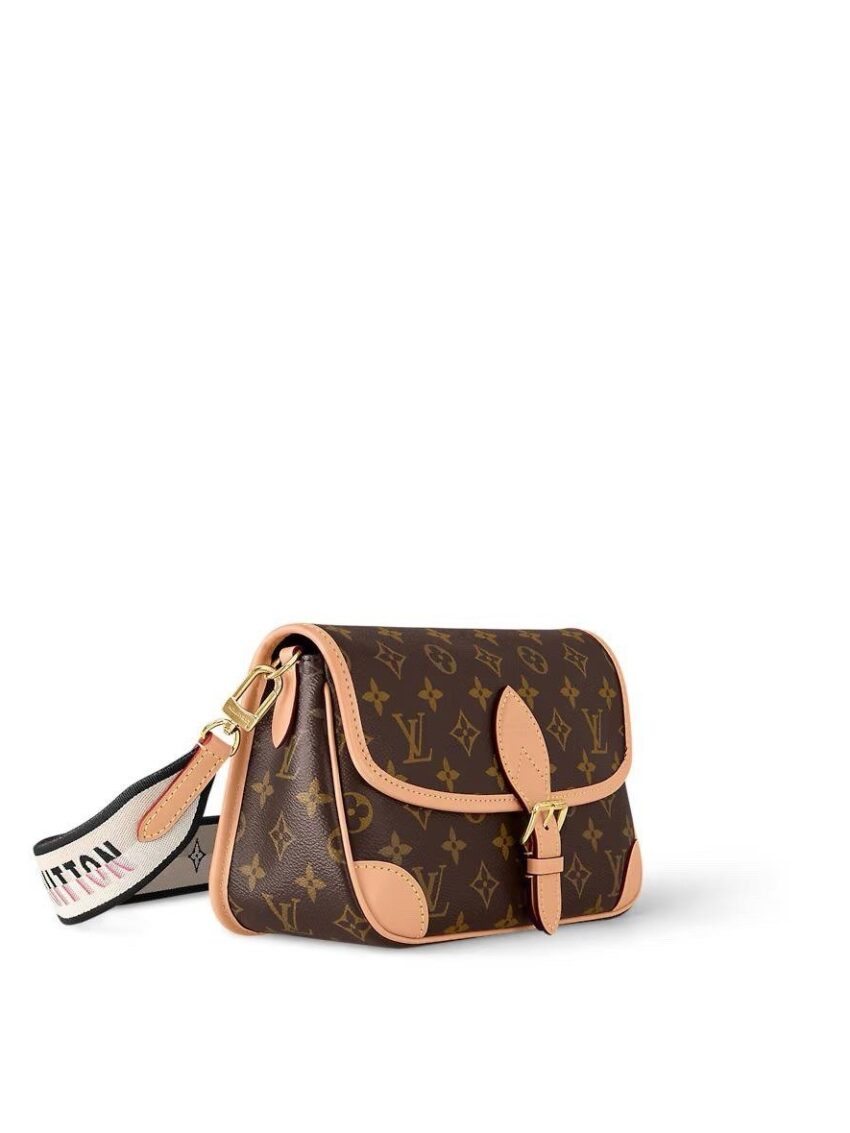 Louis Vuitton bag ladies