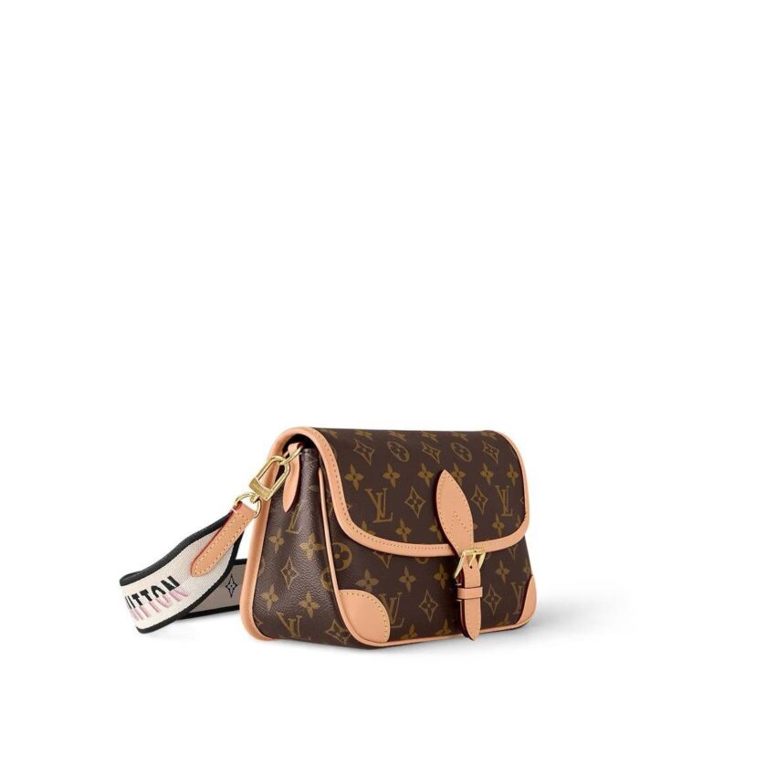 Louis Vuitton bag ladies