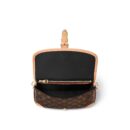 Louis Vuitton bag ladies
